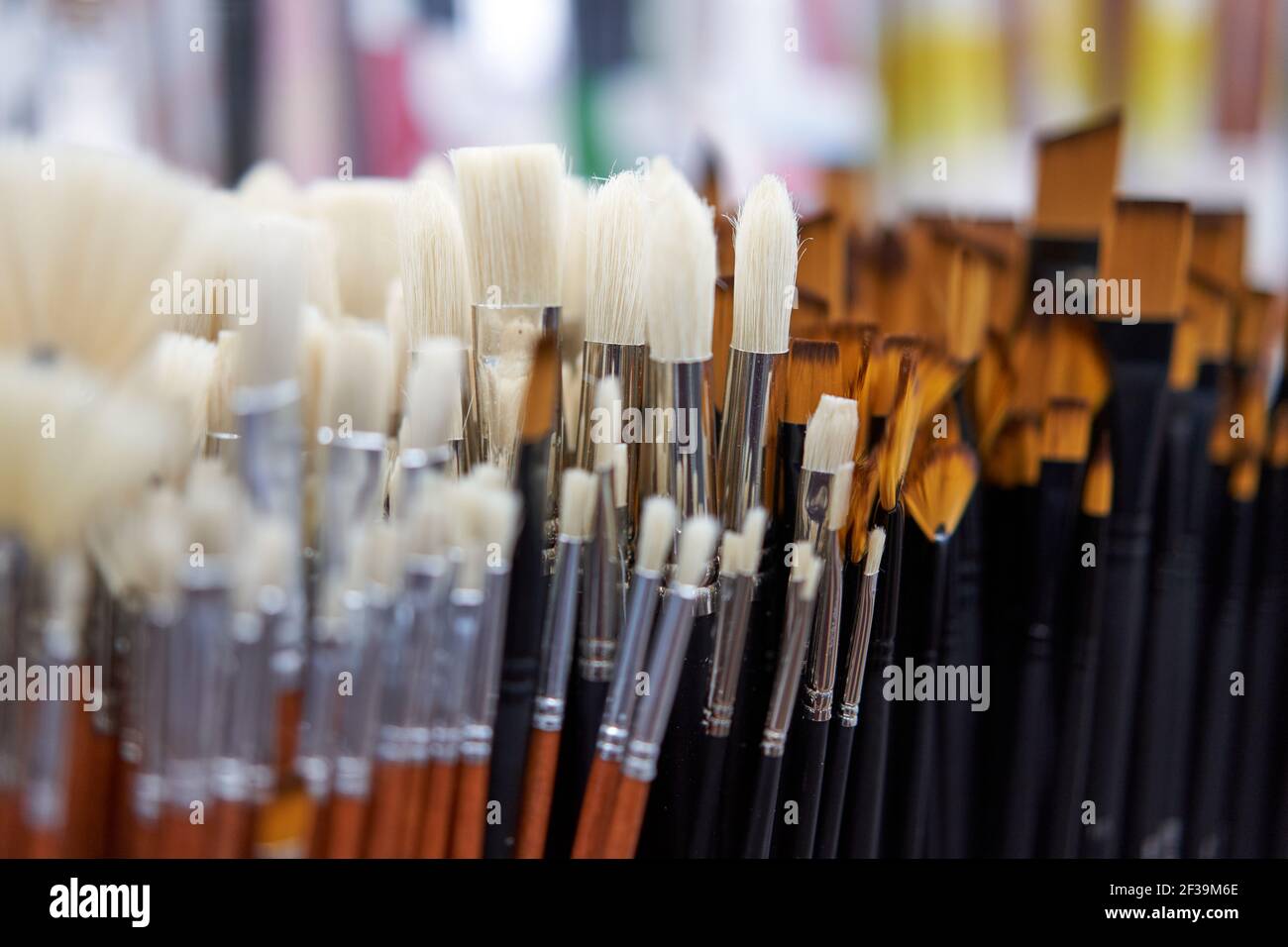 Group artistic paintbrushes for artist New paint brushes on shelf display in stationery shop. Art painting concept. Concept selling tools for artists Stock Photo