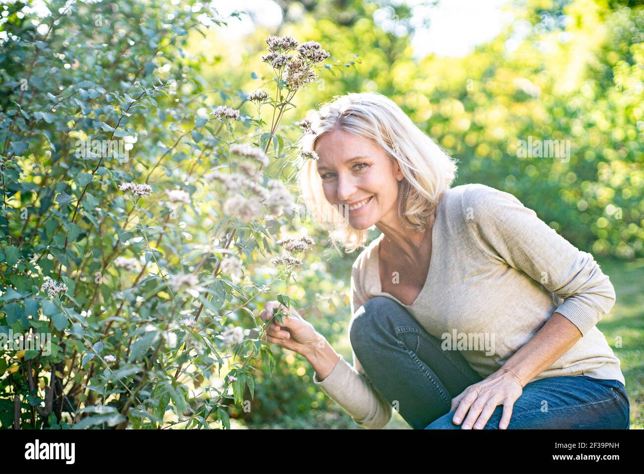 Portrait of smiling mature woman holding plant in backyard Stock Photo ...