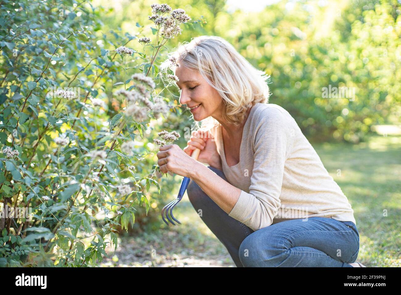Smiling mature woman looking at flowers in backyard Stock Photo