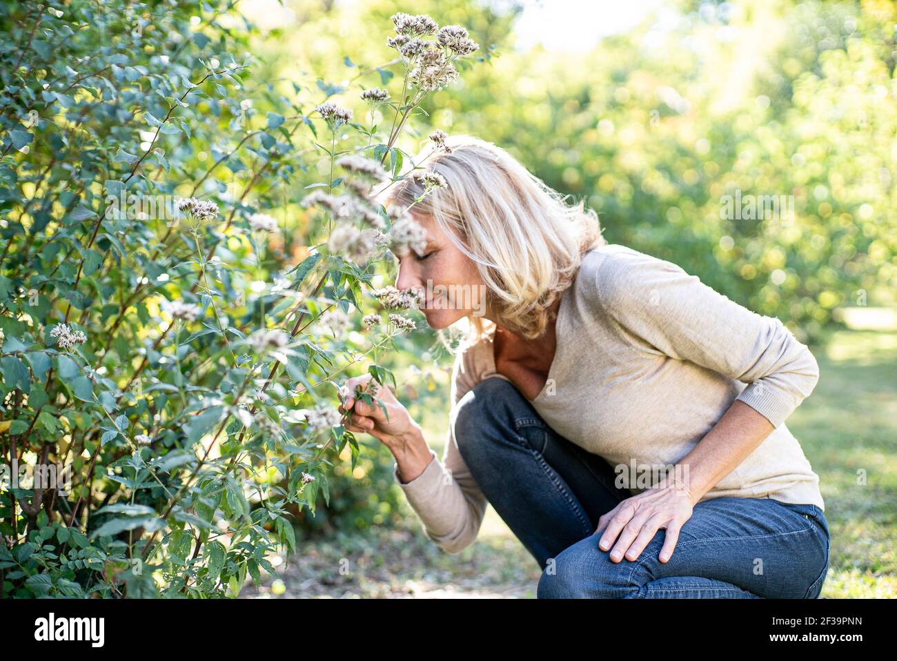 Smiling mature woman smelling flowers in backyard Stock Photo
