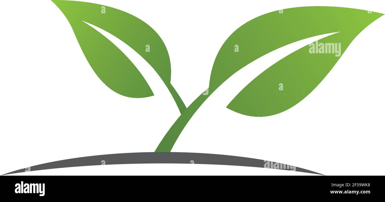 Logos of green leaf ecology nature element vector icon Stock Vector ...