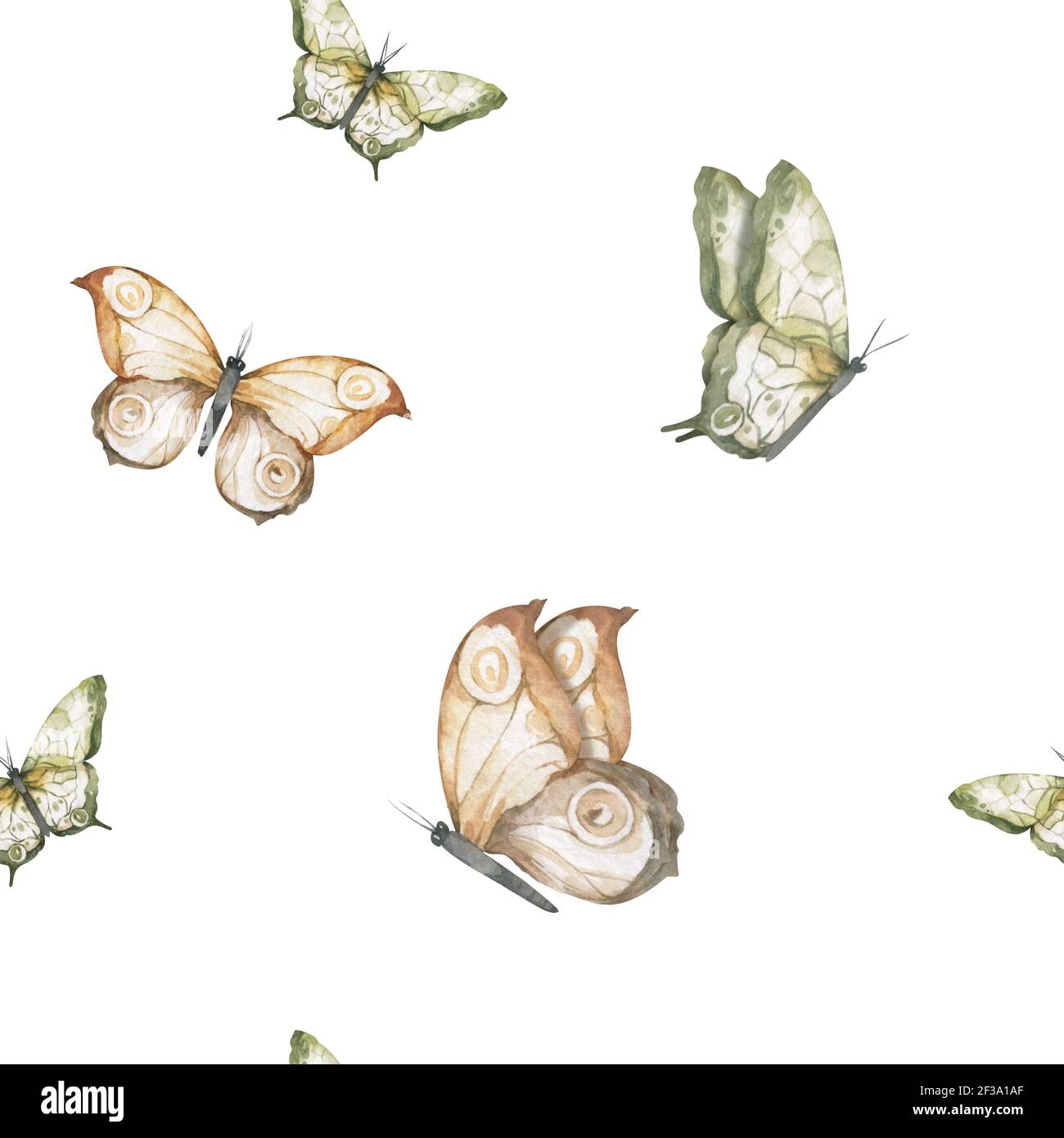 Seamless pattern watercolor flying butterflies, Hand drawn painting ...