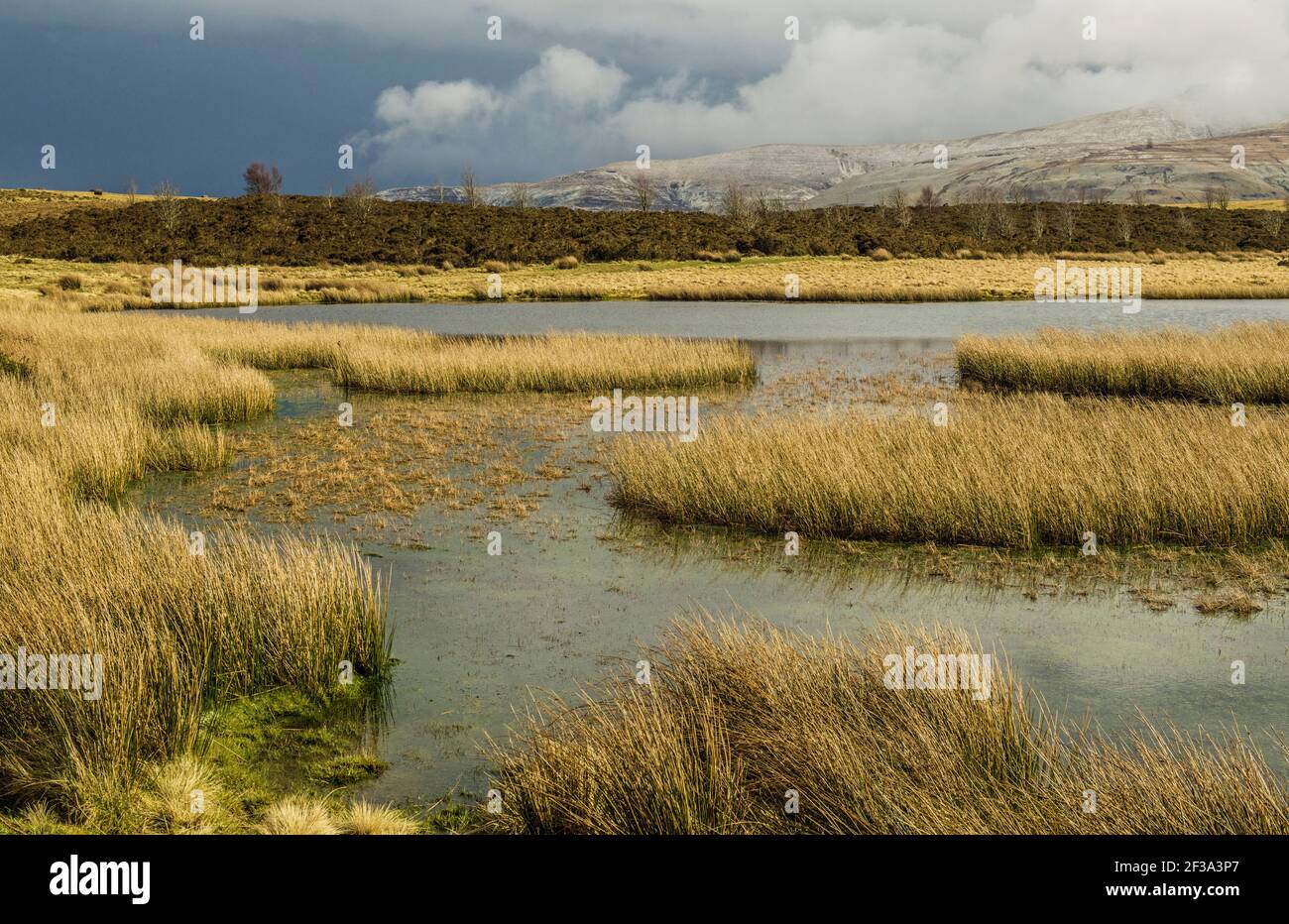 Looking across Mynydd Illtyd Pond to the Brecon Beacon hills north of Pen y Fan Stock Photo