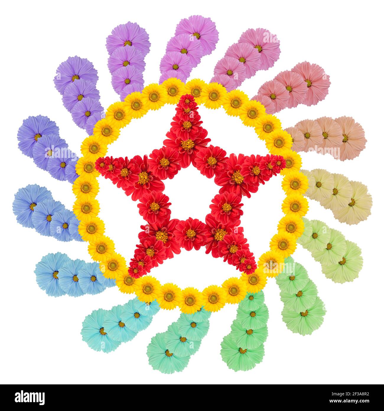 Native symbol that symbolizes transformation, made from flowers