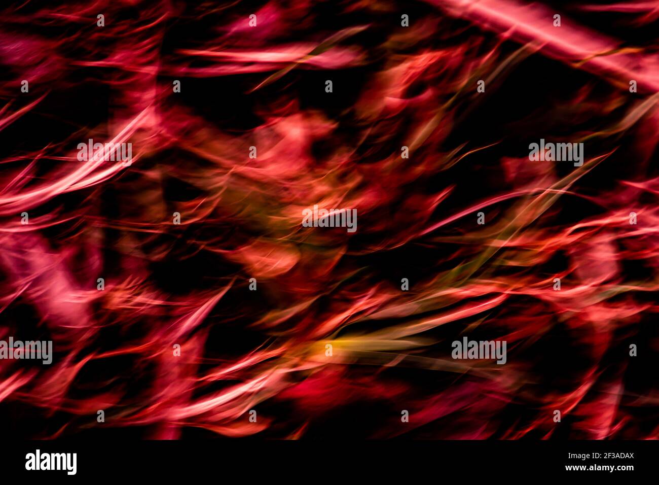 Vertical vibrant wallpaper wave hi-res stock photography and images - Alamy