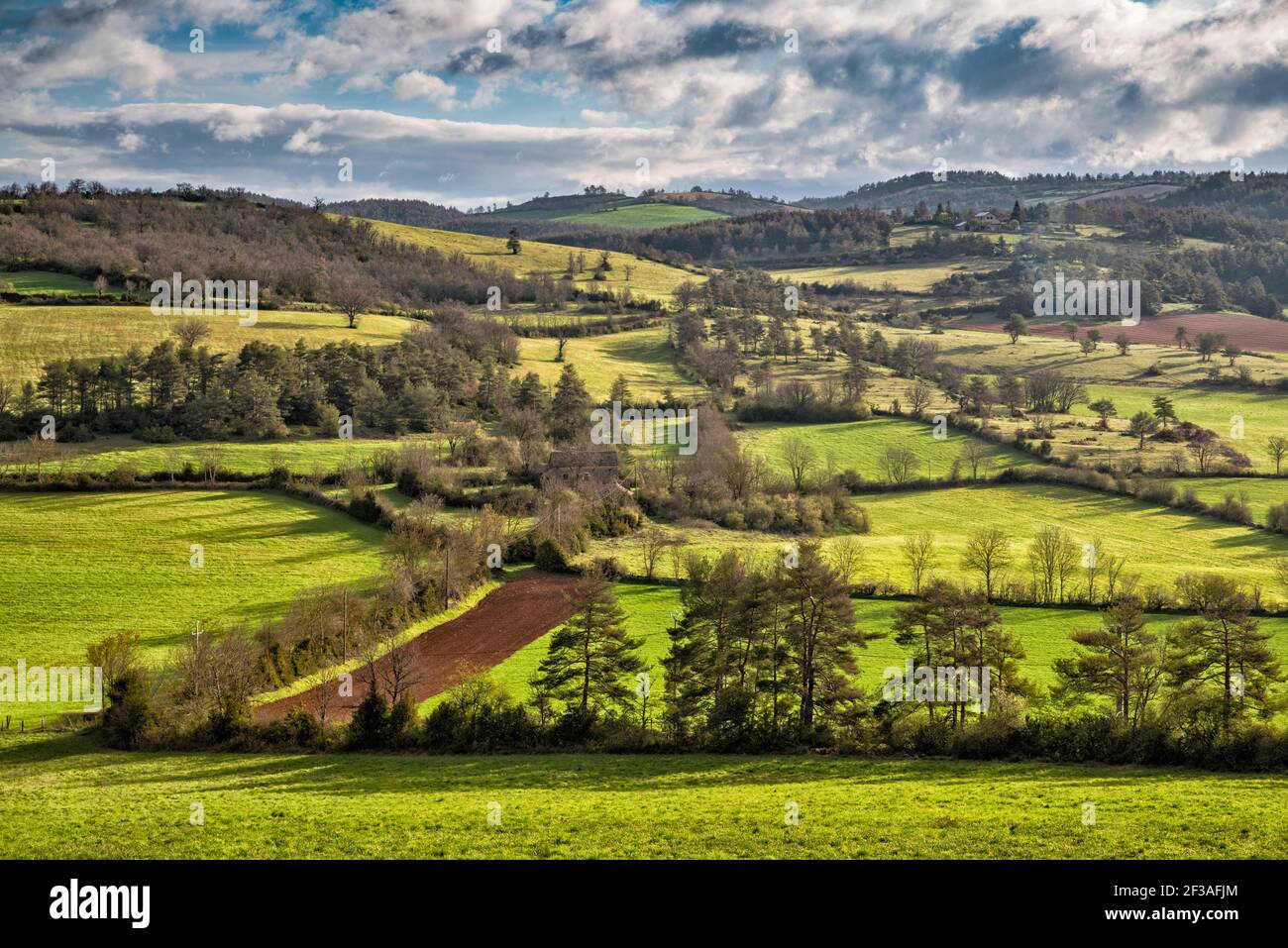 Fields, pastures at Causse de Sauveterre limestone plateau, near Point Sublime and Gorges du Tarn, Massif Central, Lozere, Occitanie region, France Stock Photo