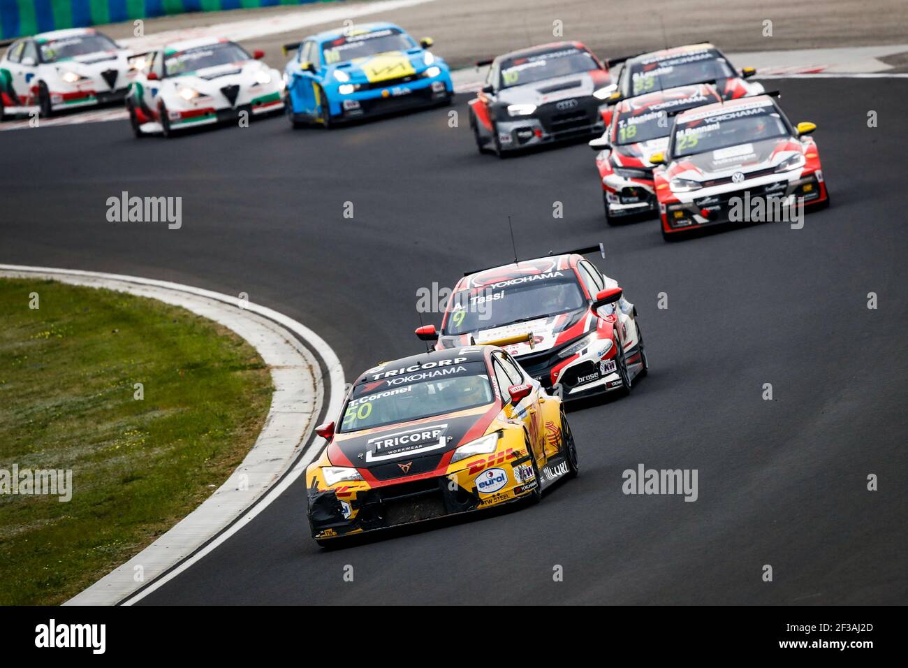 50 TOM CORONEL, (NETHERLANDS), COMTOYOU RACING,CUPRA TCR, action during ...