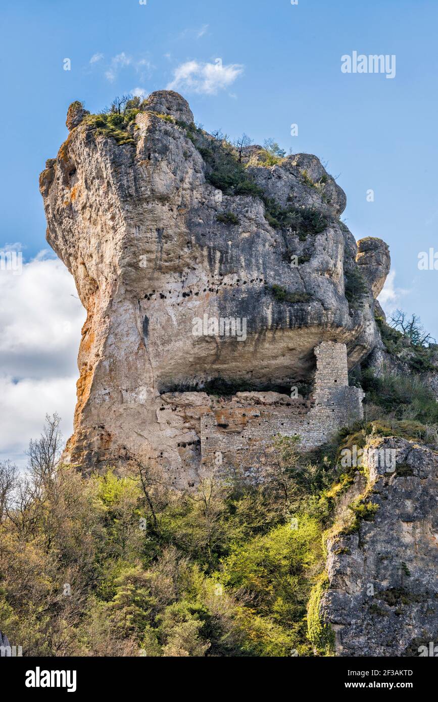 Ruins at rock near Blanquefort chateau, over Gorges du Tarn, at Causse Mejean plateau, Massif Central, Lozere department, Occitanie region, France Stock Photo
