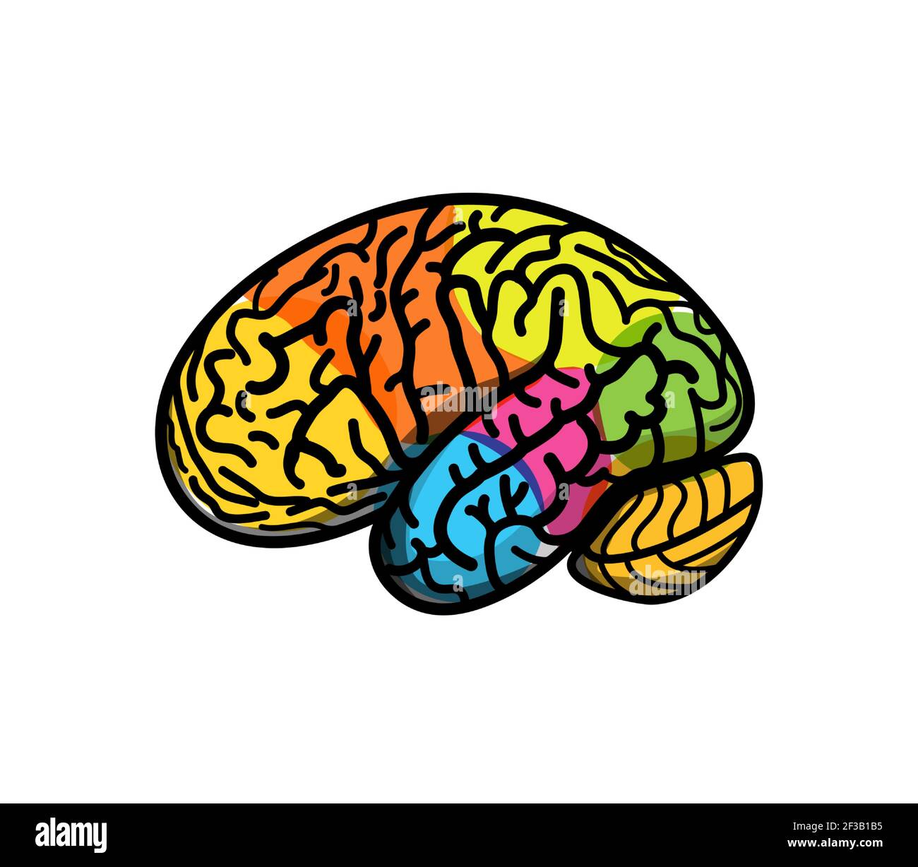 Brain parts with gyrus, colored atlas side view, cartoon vector illustration. Brain colored segments, logo concept Stock Vector