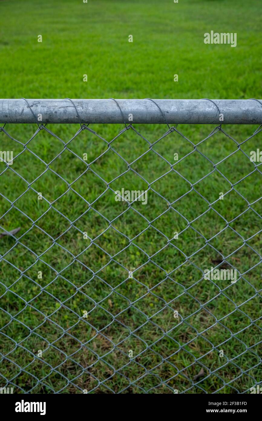 Chain link fence against a green lawn Stock Photo