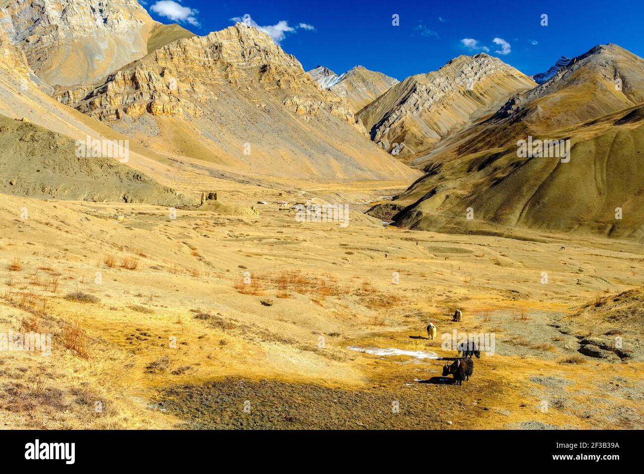 Himalayan scenery reminiscent of Tibet in the Nepalese region of Dolpo Stock Photo