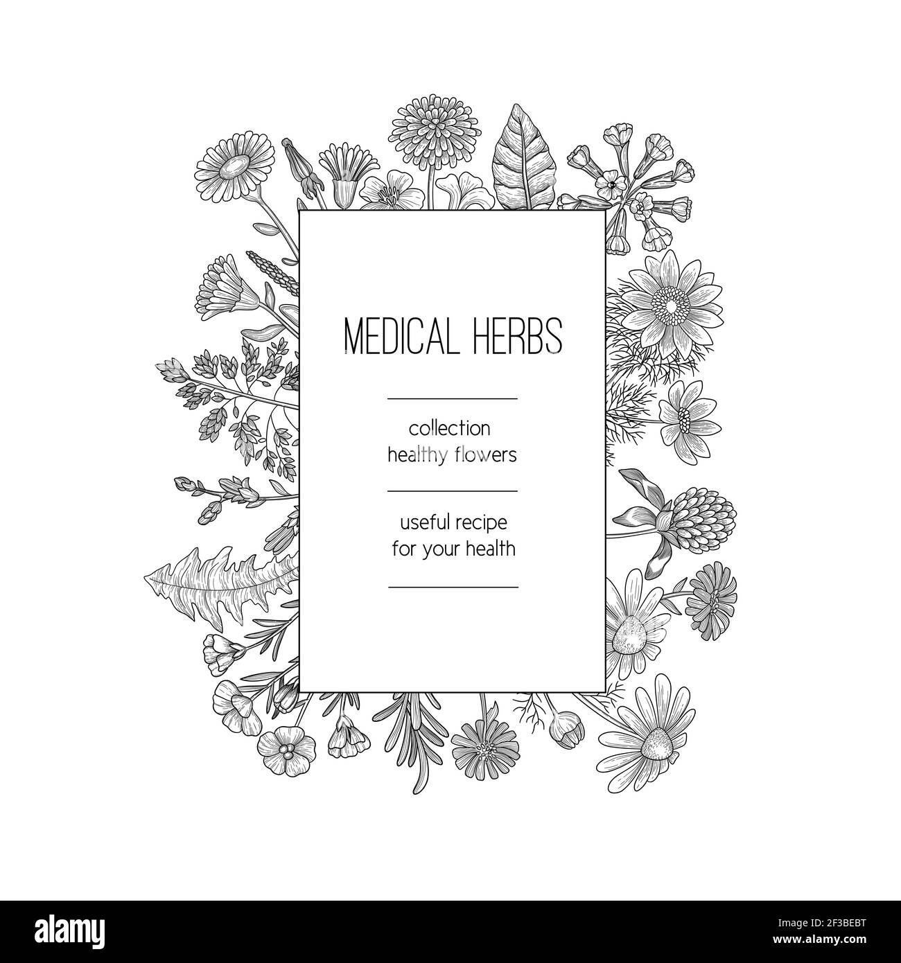 Herbs frame. Herbal background design for spa medical concept nature herbs plants hand drawn vector template Stock Vector