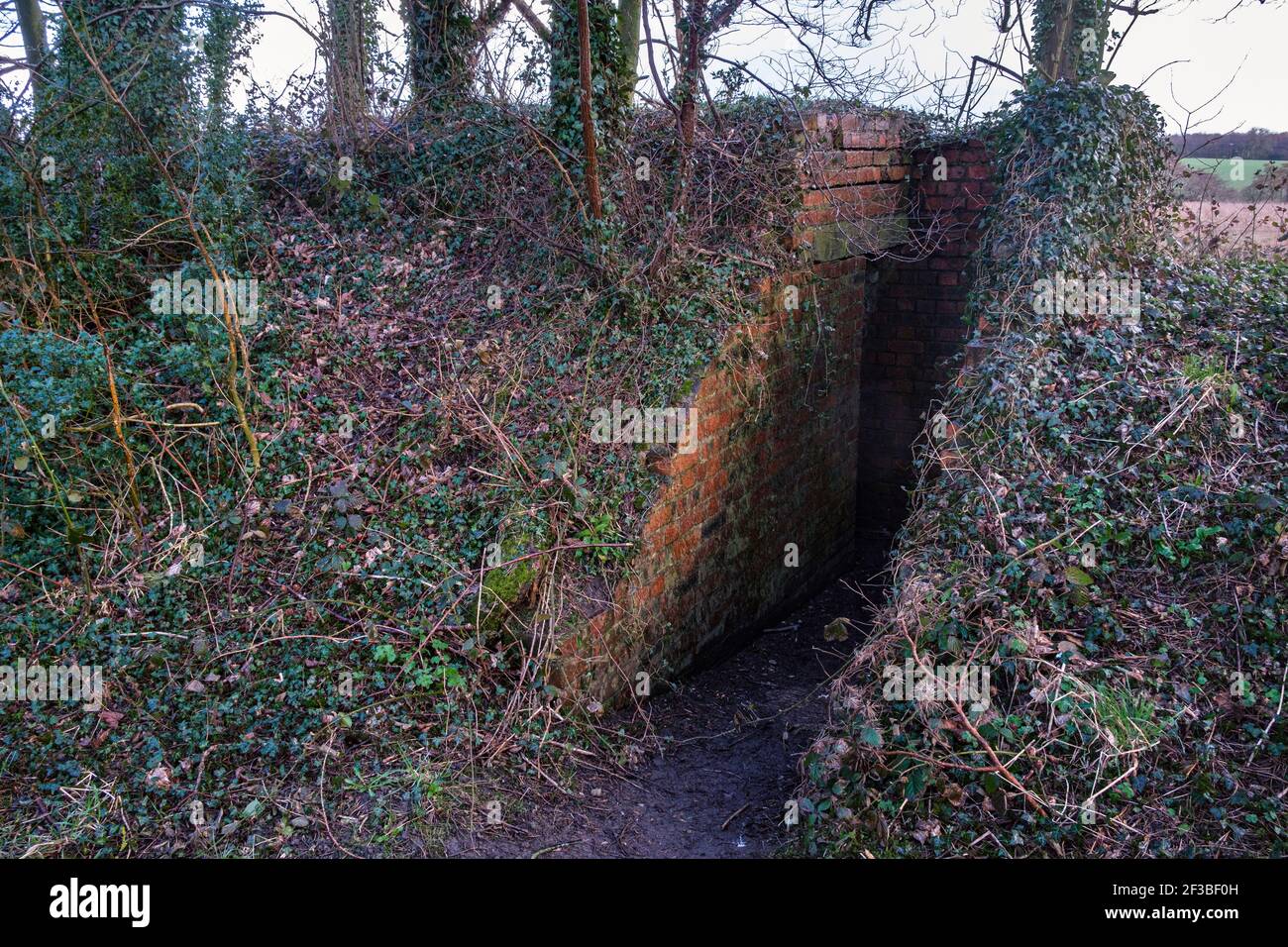 An overgrown Second World War bomb shelter in woodland near Ashbourne, Derbyshire Stock Photo