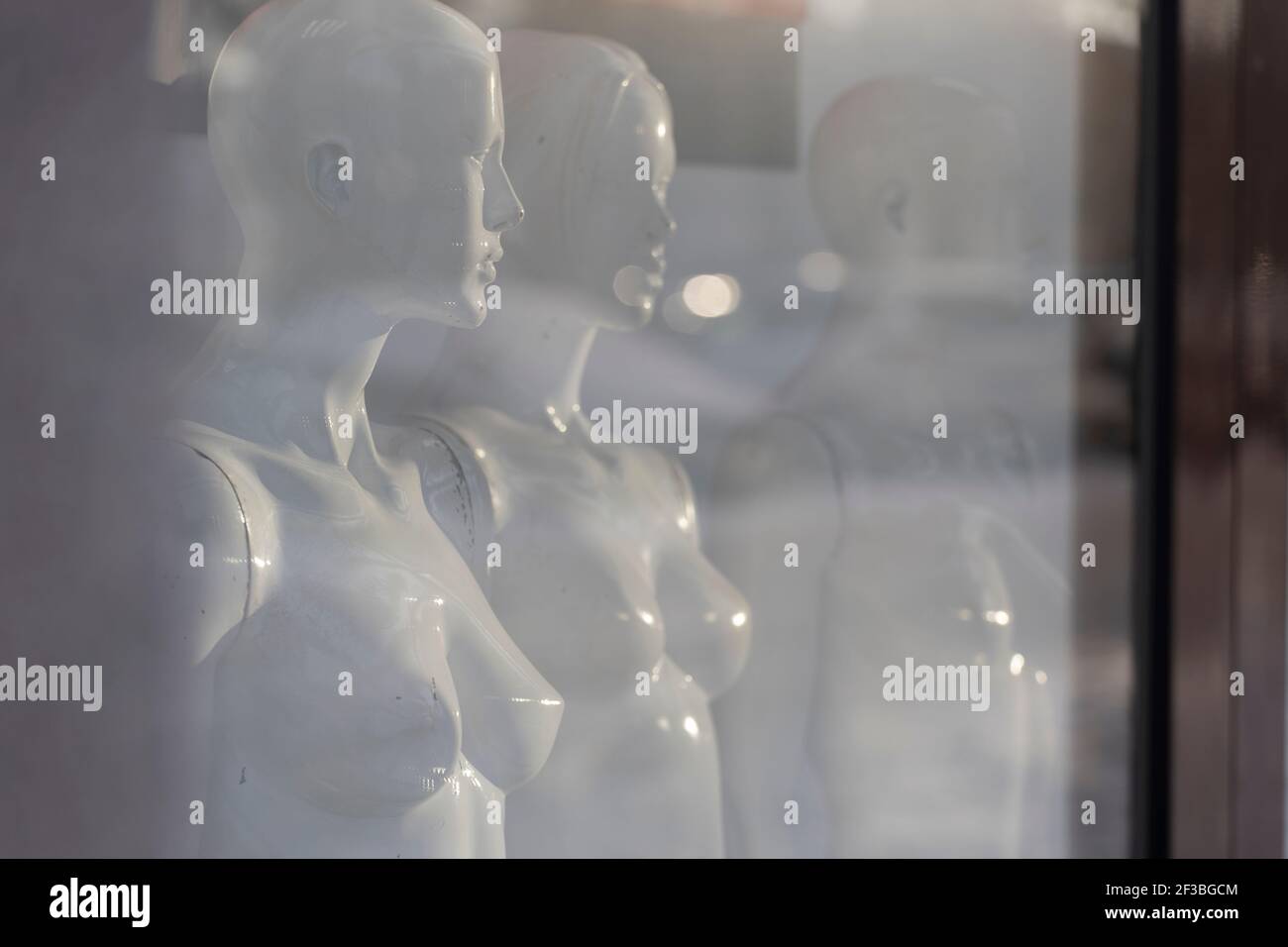 white women's mannequins stand in a display case without clothes. High quality photo Stock Photo