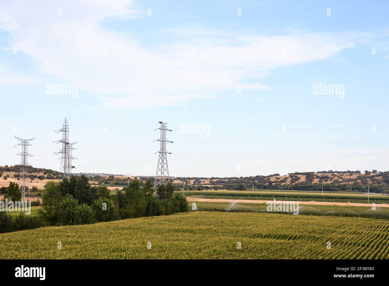 An agricultural field and power lines on a cloudy day Stock Photo - Alamy