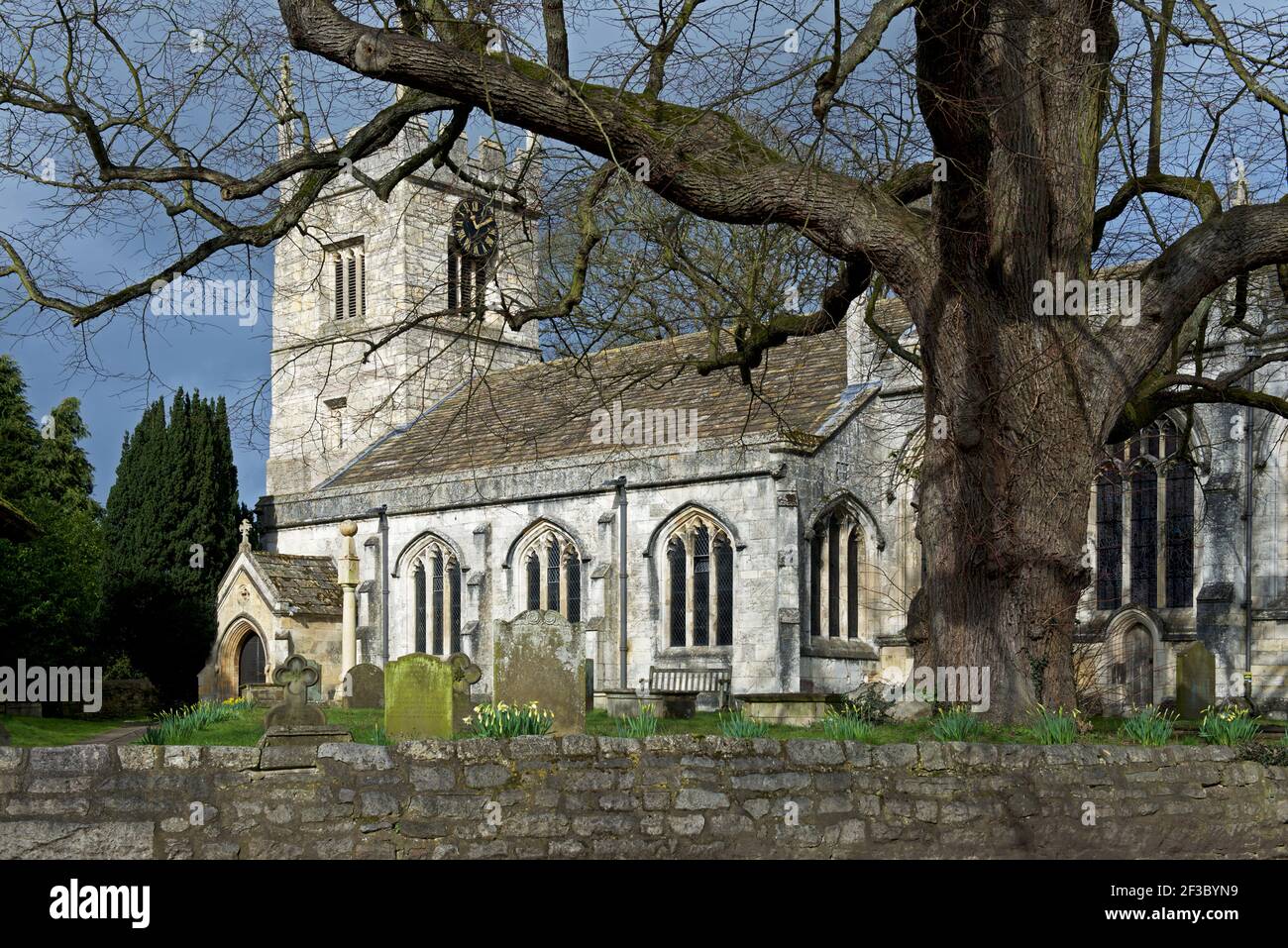 All Saints Church in the village of Bolton Percy, North Yorkshire, England UK Stock Photo