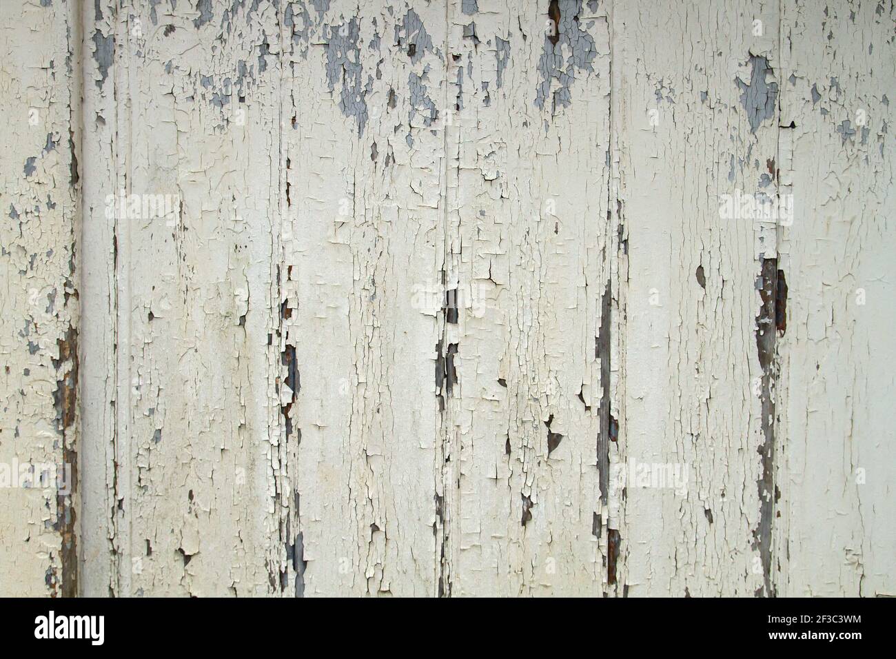 Old rustic wooden planks wall with white peeling paint, grunge ...