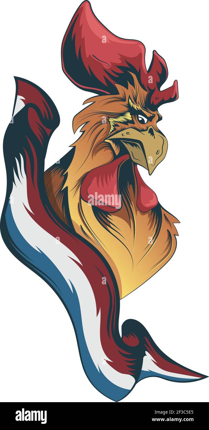 Gallic rooster with french flag vector drawing Stock Vector Image & Art