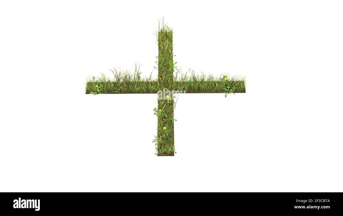 Plus Sign Turf 3d rendered grass field with colorful flowers in shape of thin plus ...