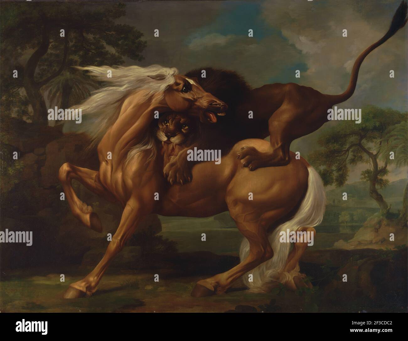A Lion Attacking a Horse;Horse Attacked by a Lion;Lion devouring a horse;Lion Attacking a Horse, 1762. Stock Photo