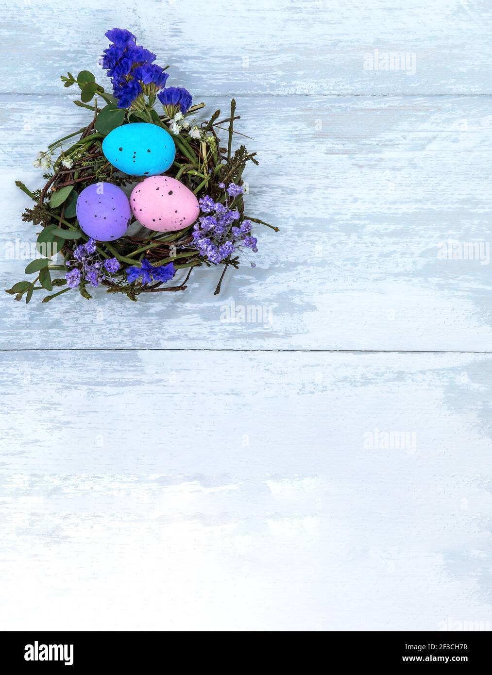 A nest with Easter eggs. Gray-blue background. Three Easter eggs in the nest. Stock Photo