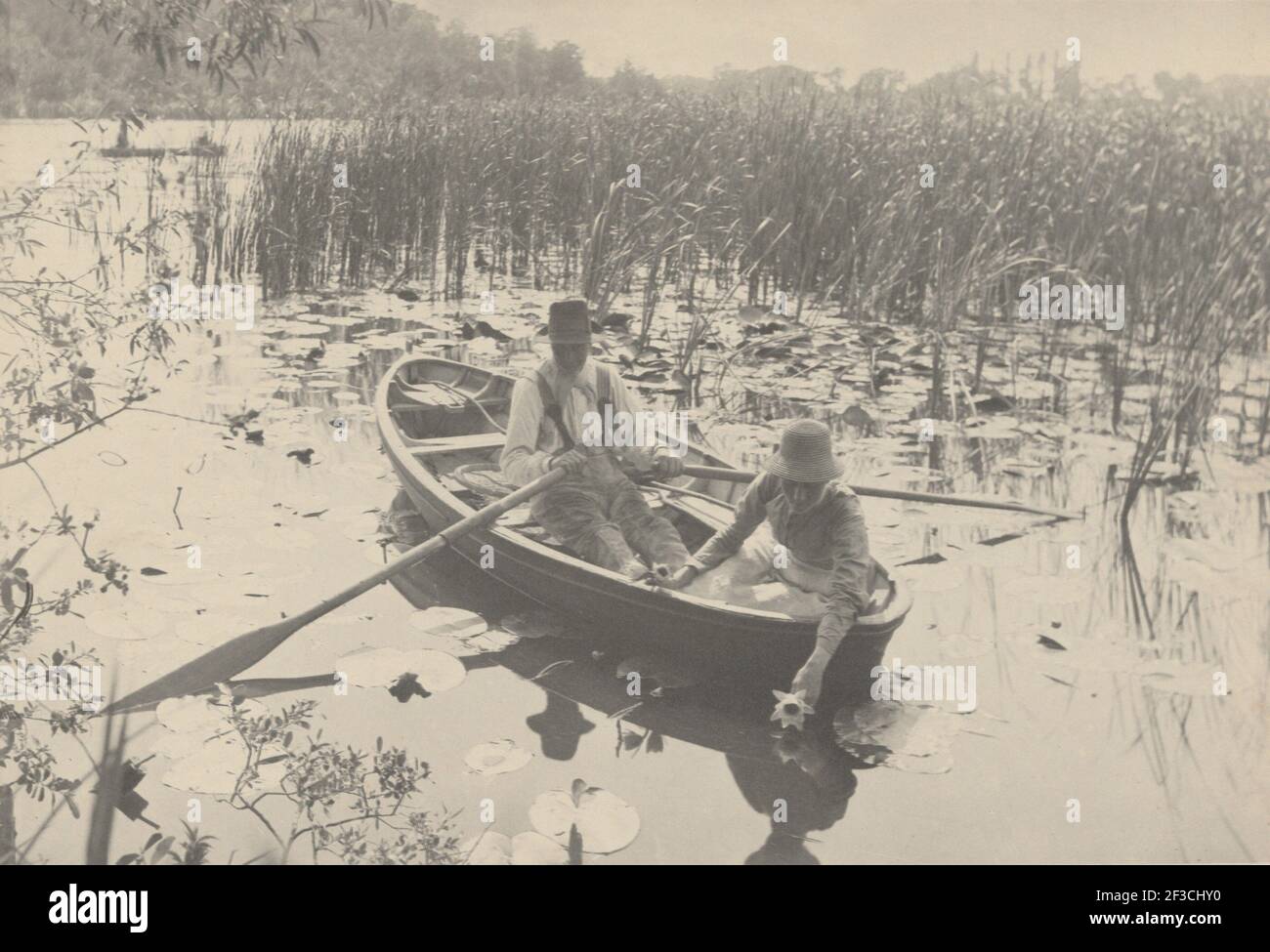 Gathering Water-Lilies, 1886. Stock Photo