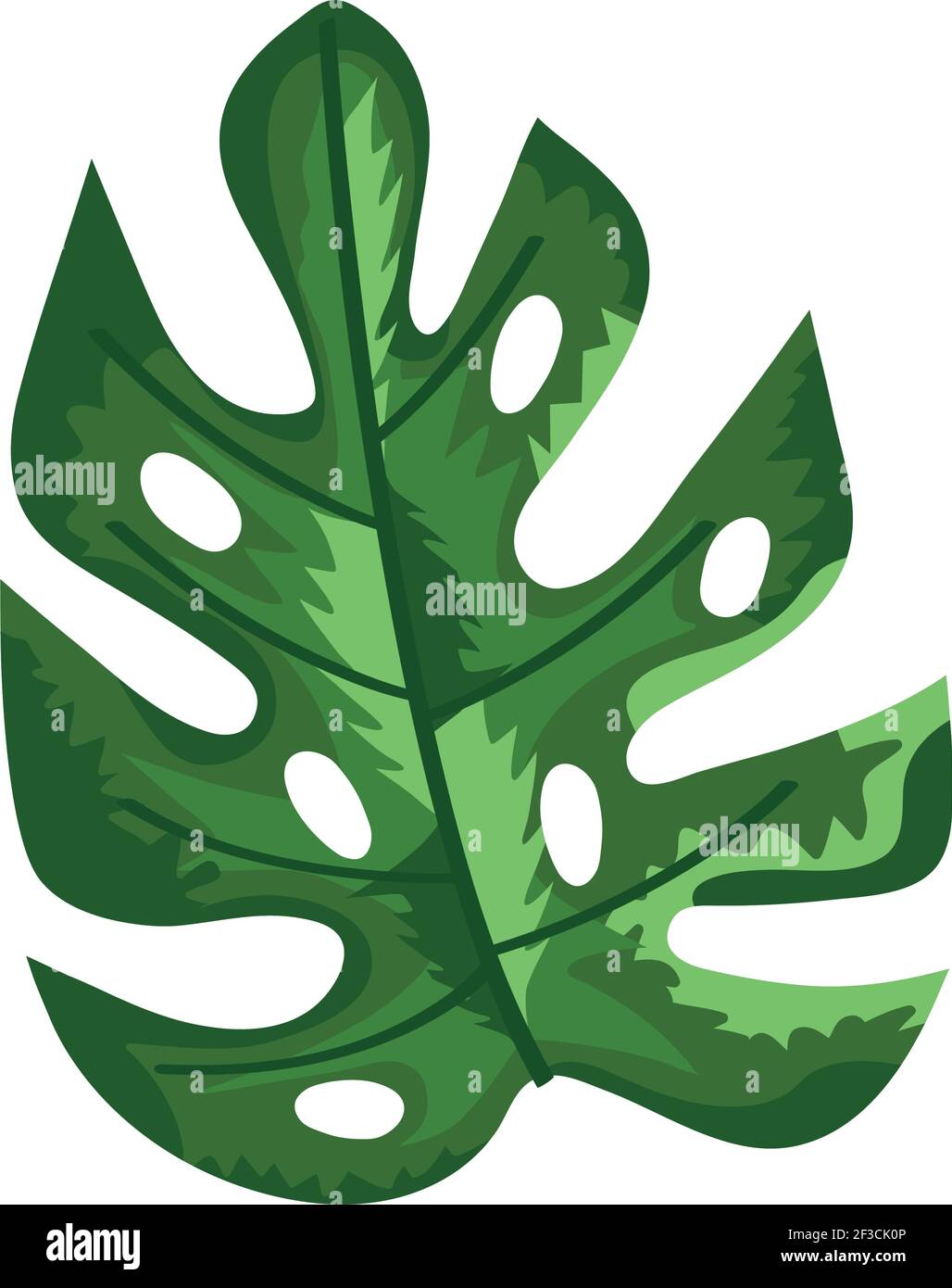 green tropical leaf Stock Vector Image & Art - Alamy