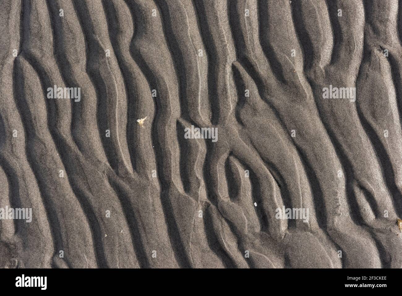 Wavy pattern of sand on a beach Stock Photo - Alamy