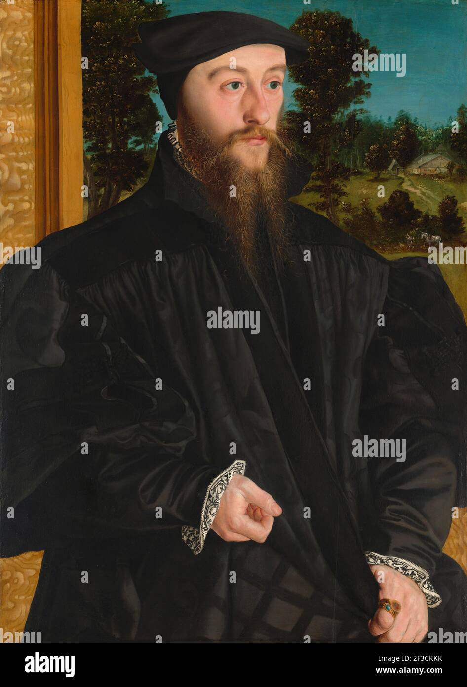 A Member of the Fr&#xf6;schl Family, c. 1539/1540. Stock Photo