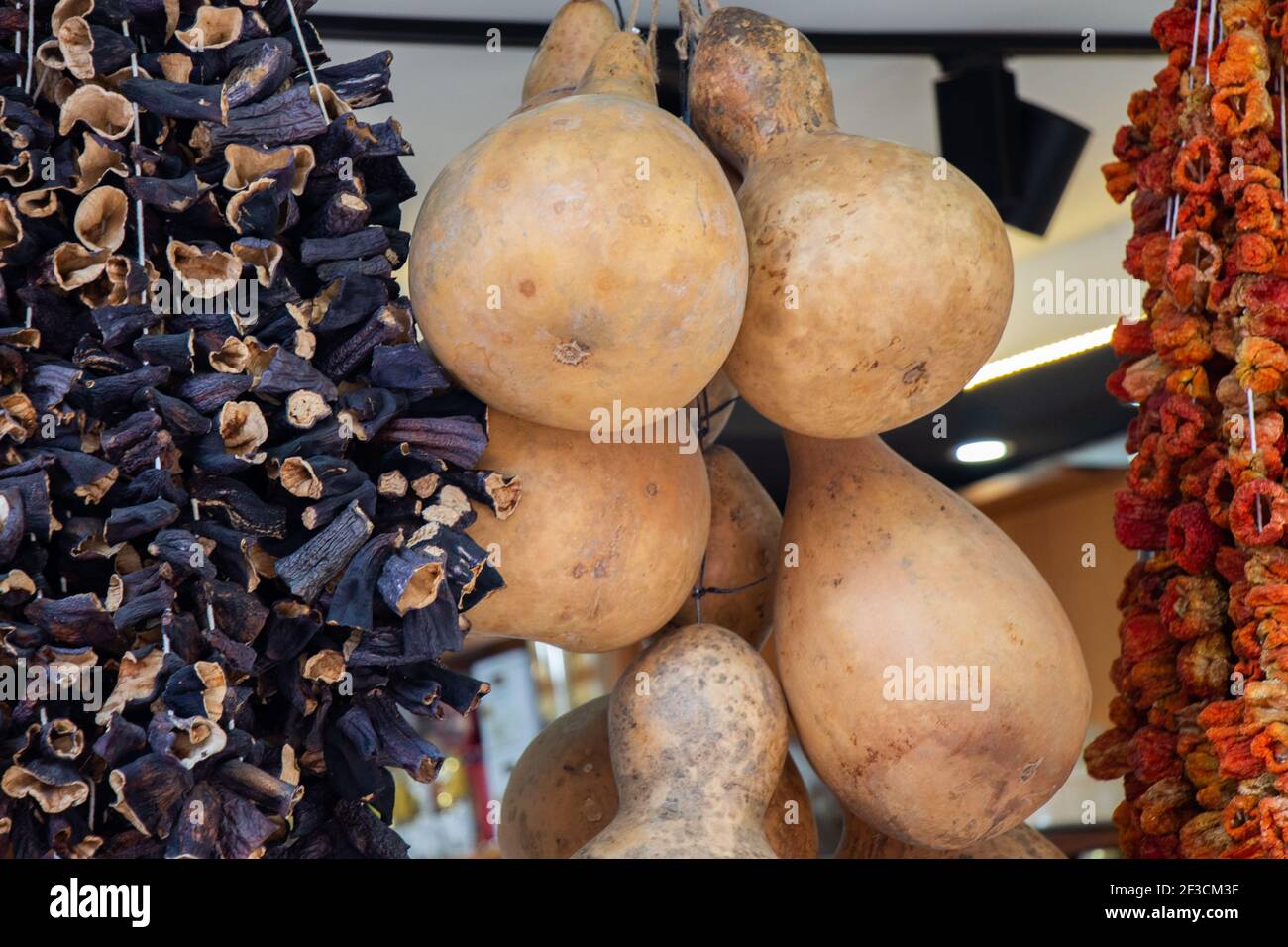 Dried bottle gourd used for decoration. Plant specimens in the