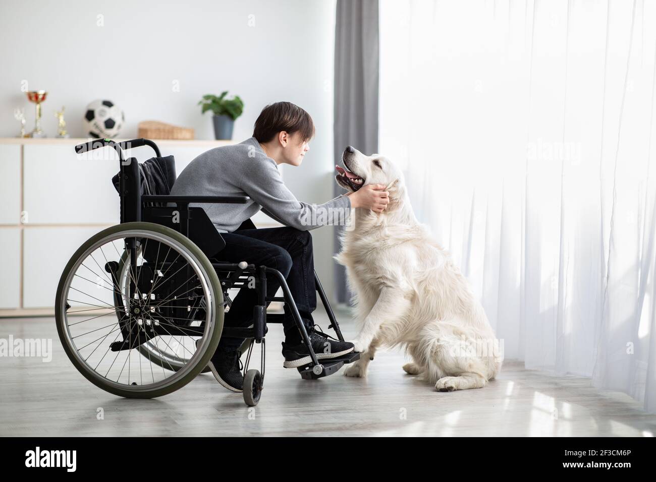 Positive handicapped adolescent playing with his dog, petting golden retriever at home Stock Photo