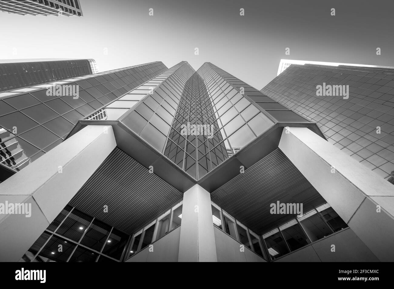 Looking up at office towers. Black and White Stock Photo - Alamy