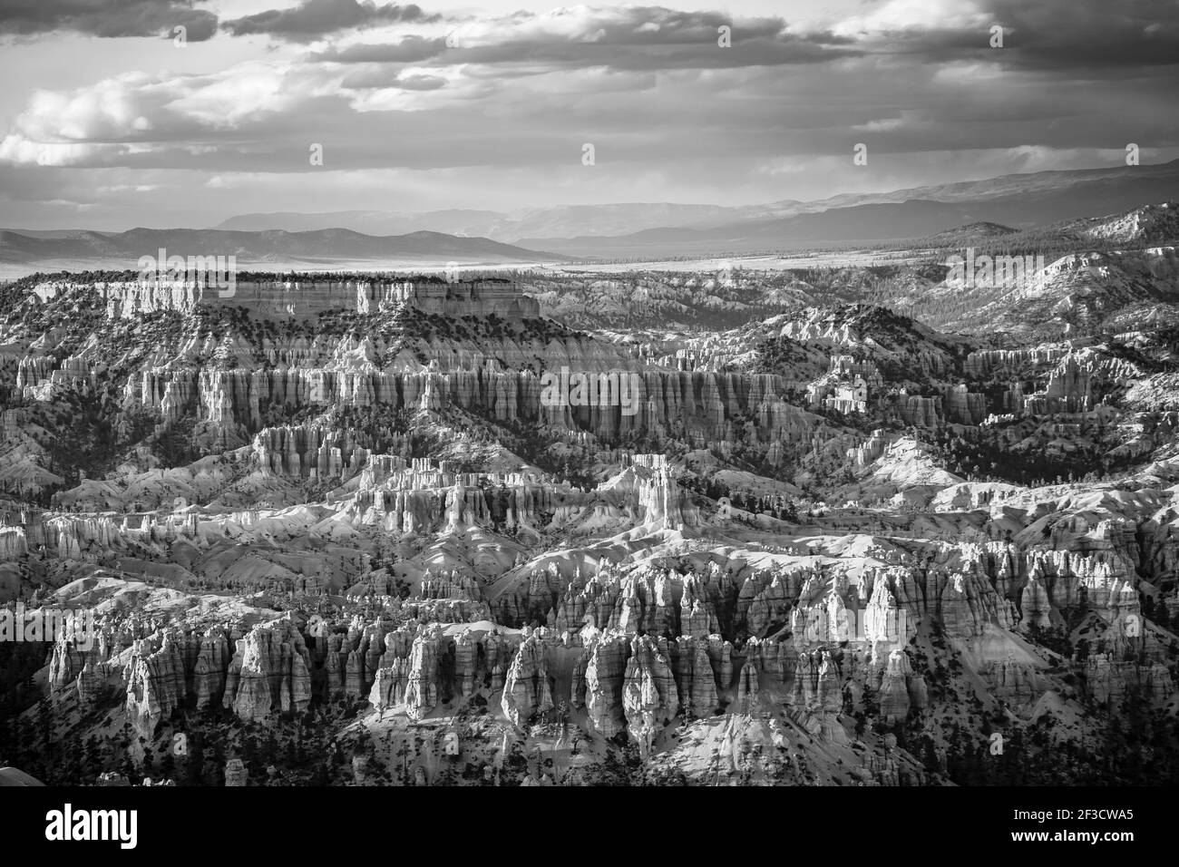 Bryce Canyon National Park landscape, Utah, USA. Black and white (monochrome) landscape Stock Photo