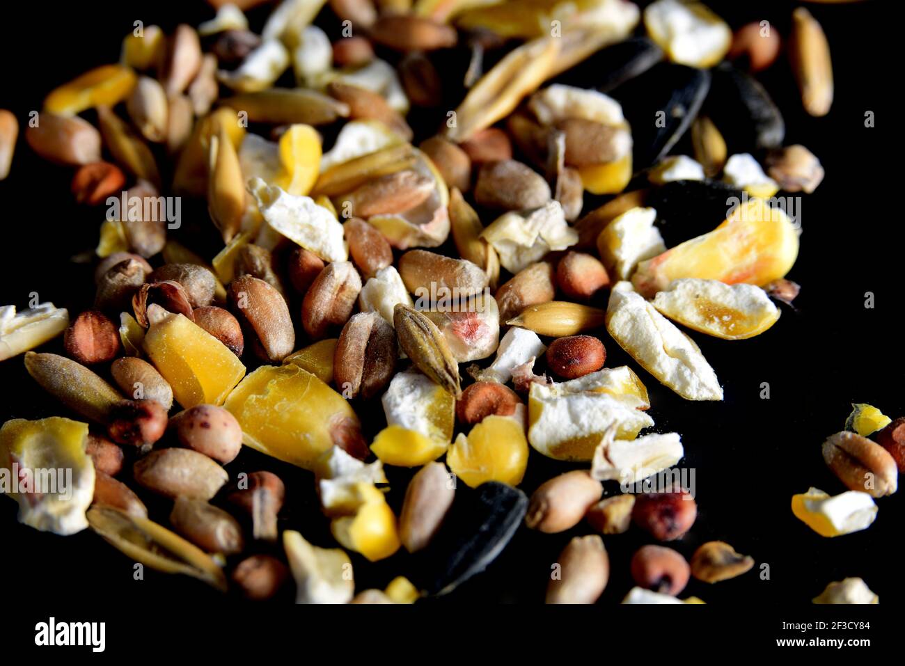 Seed and bird food mix hires stock photography and images Alamy