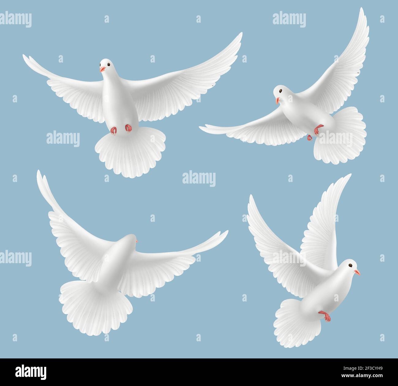 White pigeons. Dove love flying birds in sky symbols of freedom and wedding vector realistic pictures Stock Vector