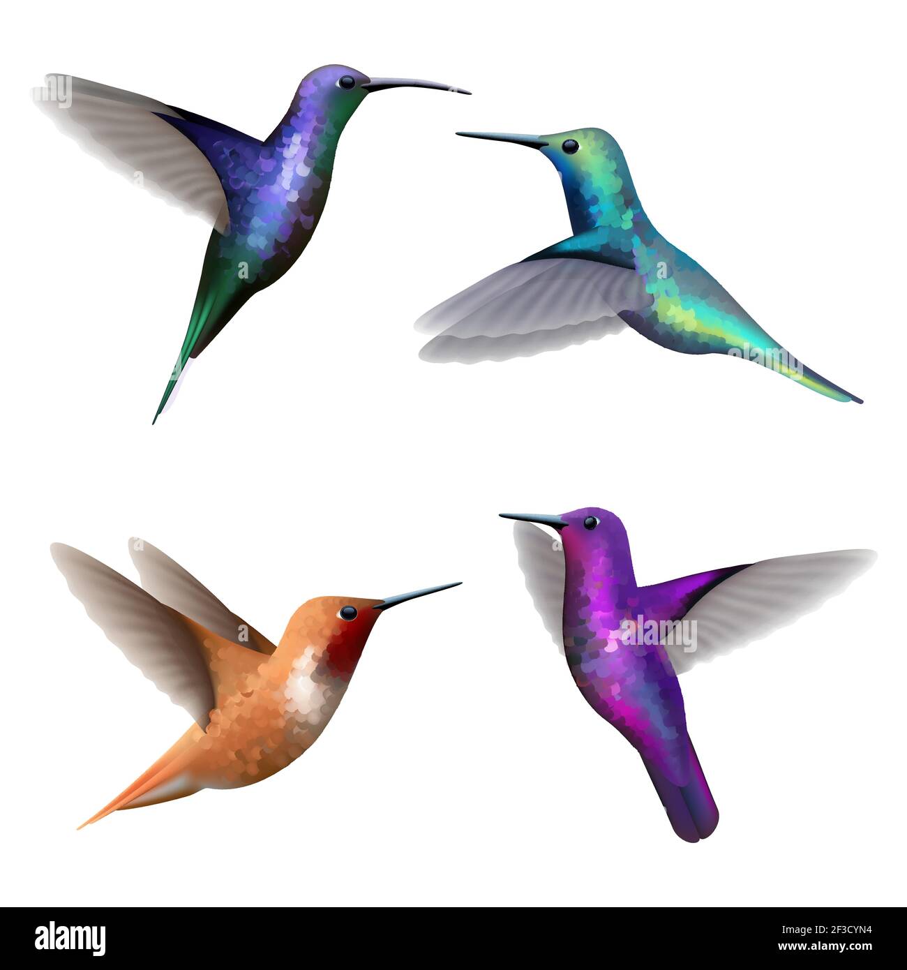 Hummingbirds. Exotic little colored beautiful flying birds colibri vector realistic pictures collection Stock Vector