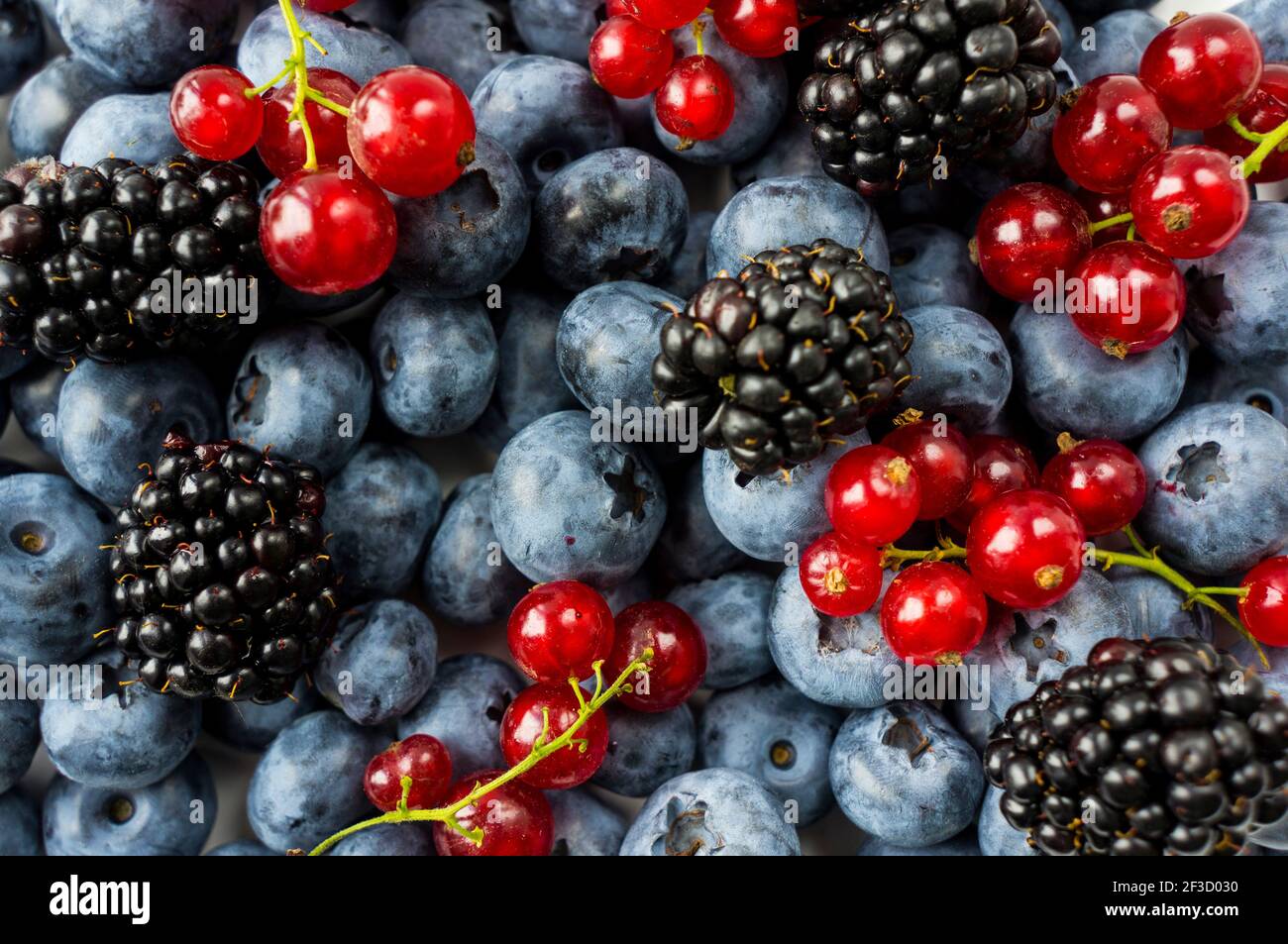 Mix berries and fruits. Ripe blackberries, blueberries, blackcurrants, red currants. Top view. Background berries and fruits. Various fresh summer fru Stock Photo