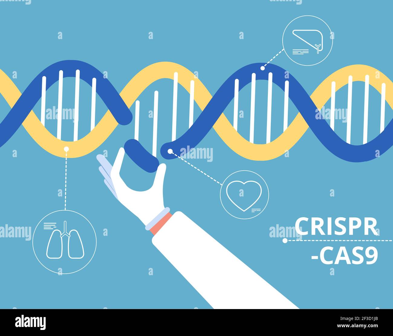 Crispr cas9 concept. Biochemical engineering medical gen research mutation biology dna modification vector background Stock Vector