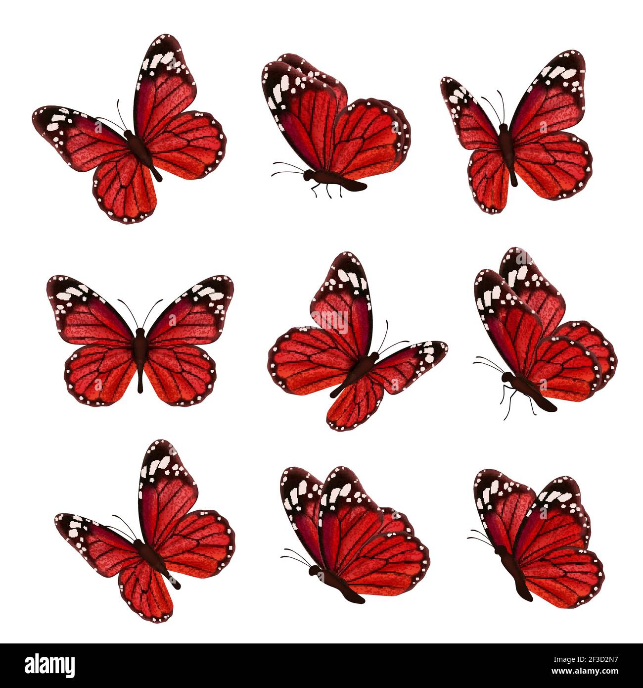 Butterflies collection. Beautiful nature colored flying insects ornamental wings moth vector realistic butterfly Stock Vector