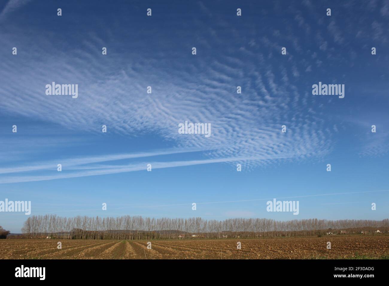 Skyscape with a ploughed field, row of poplar trees and the hills of the South Downs in the distance. Copy space to add text  personal or business. Stock Photo