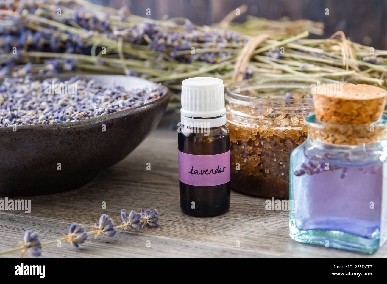 Purple Texture Scrub High Resolution Stock Photography and Images - Alamy