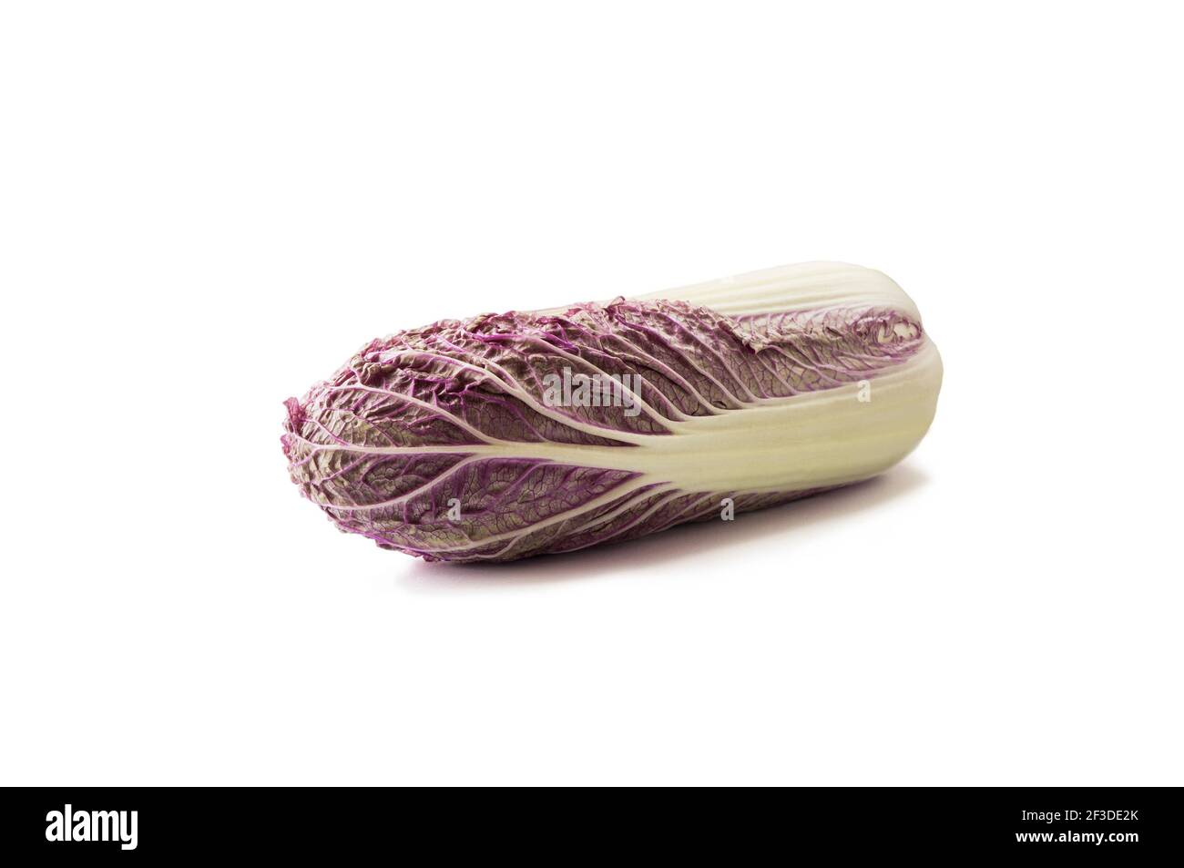 Purple napa cabbage. Red Napa, Chinese Cabbage on white. Purple chinese cabbage isolated on white background. Stock Photo