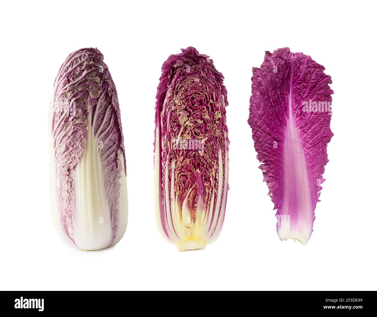 Purple napa cabbage. Red Napa, chinese cabbage on white. Purple chinese