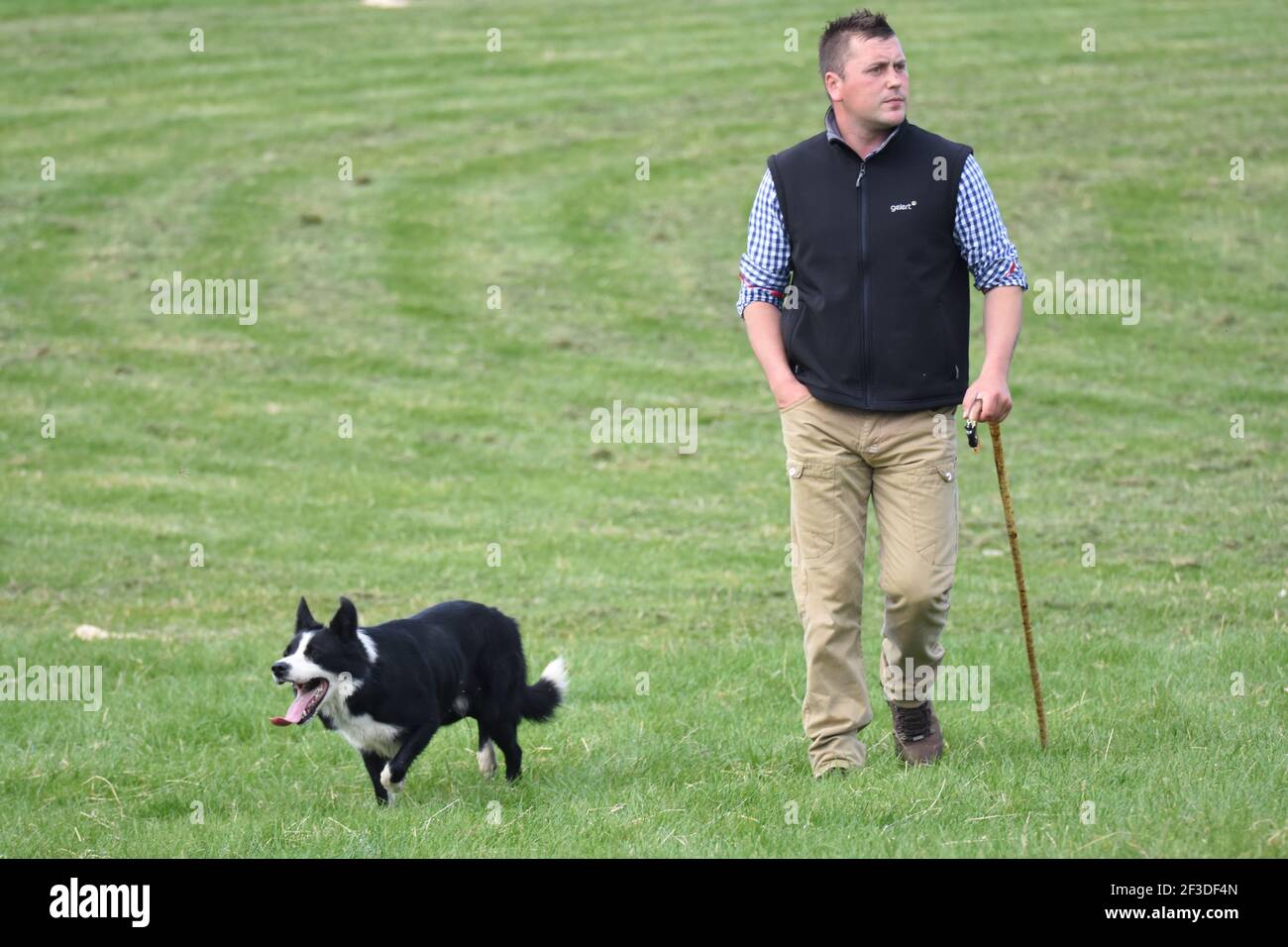 Scottish National Dog Trials, Stranraer, Scotland Stock Photo Alamy