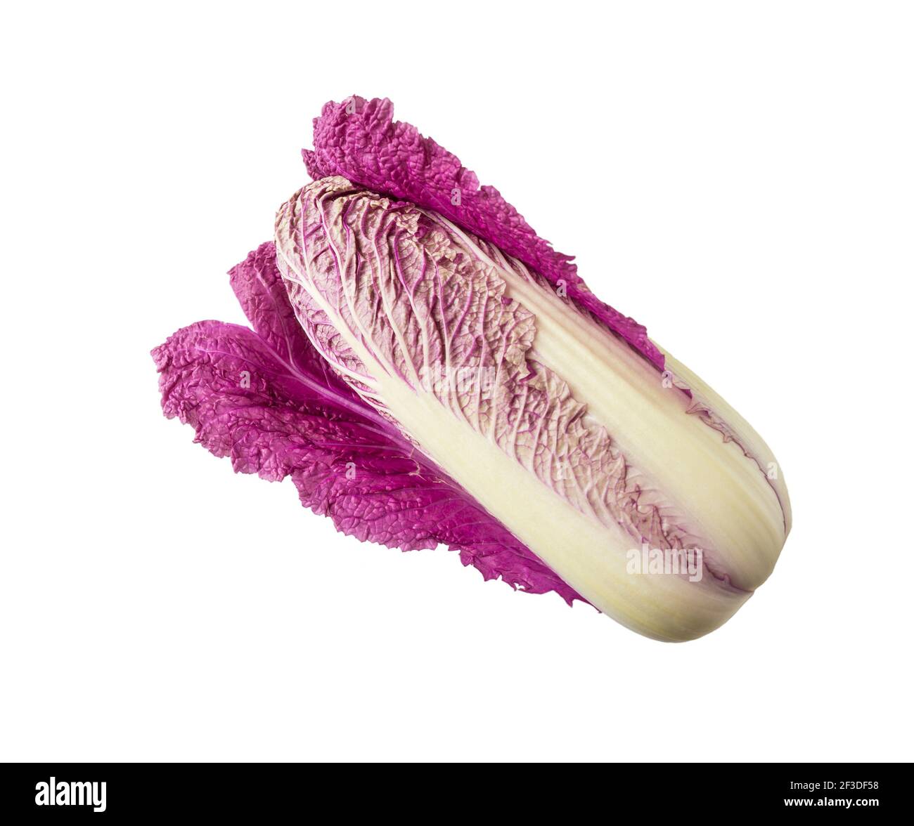 Purple napa cabbage on white. Purple chinese cabbage isolated on white background. Stock Photo