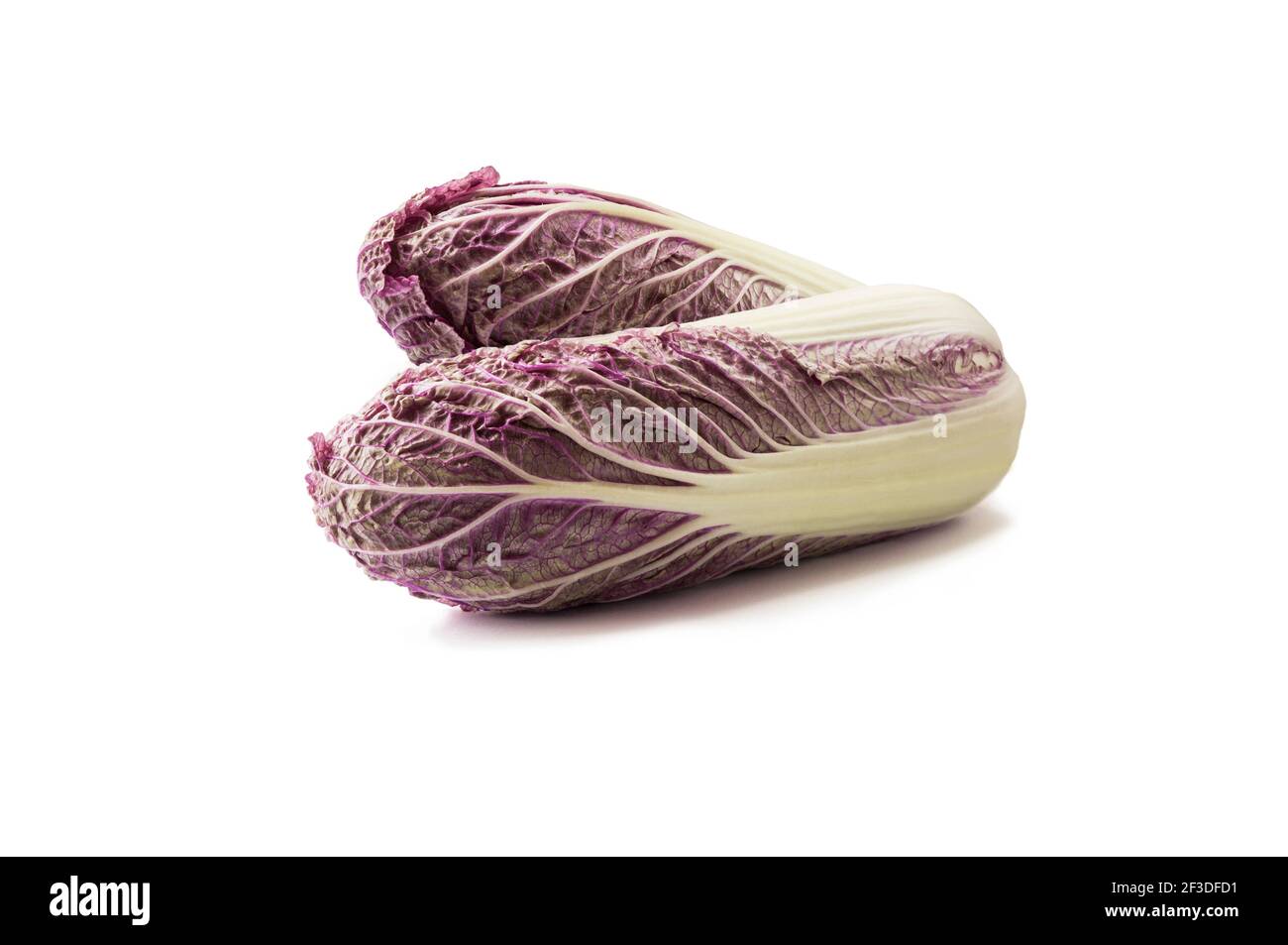 Purple napa cabbage on white. Purple chinese cabbage isolated on white background. Red Napa, Chinese Cabbage with copy space for text. Stock Photo