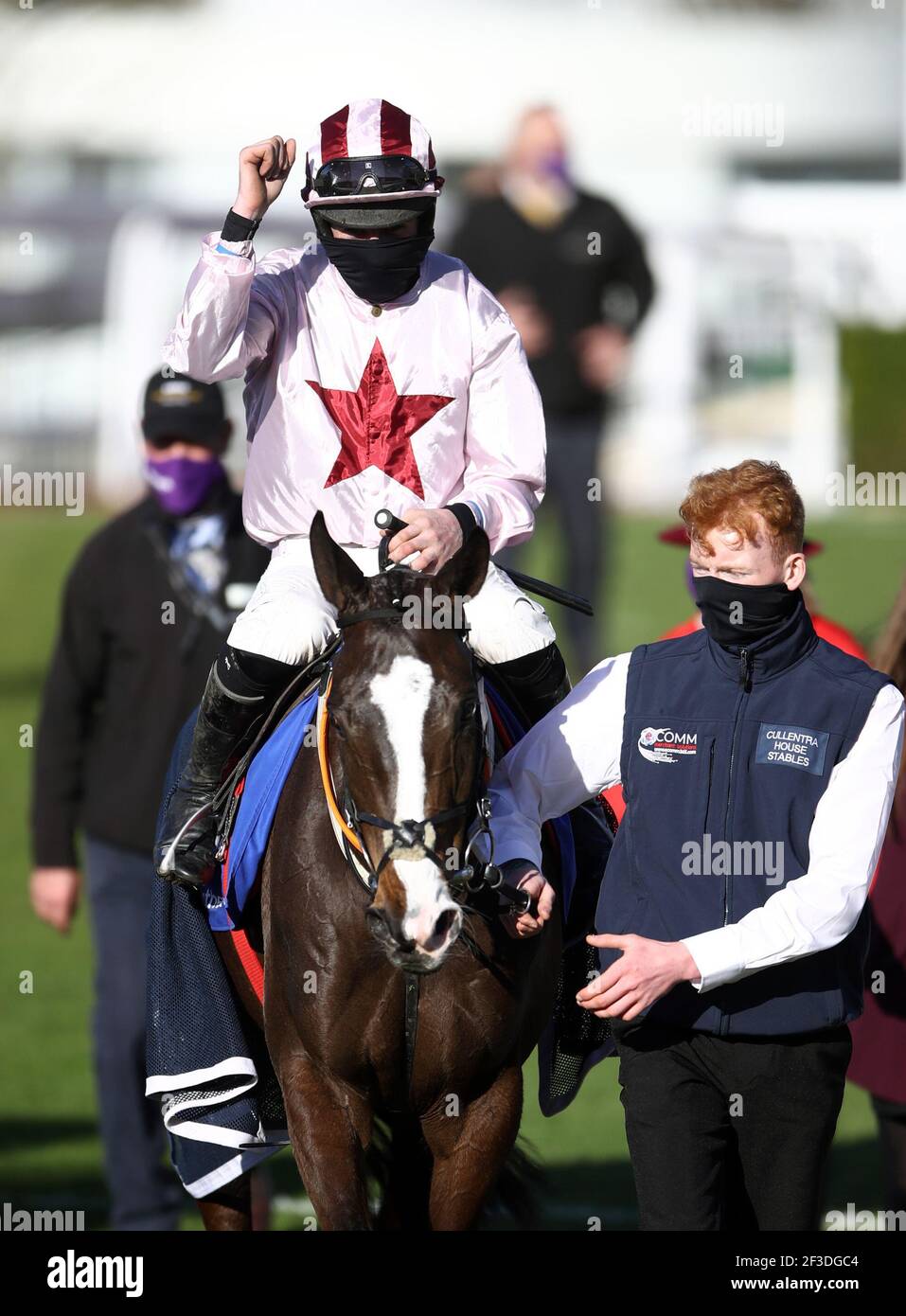 Black tears horse cheltenham hires stock photography and images Alamy
