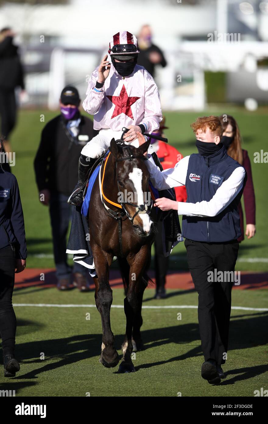 Black tears horse cheltenham hires stock photography and images Alamy