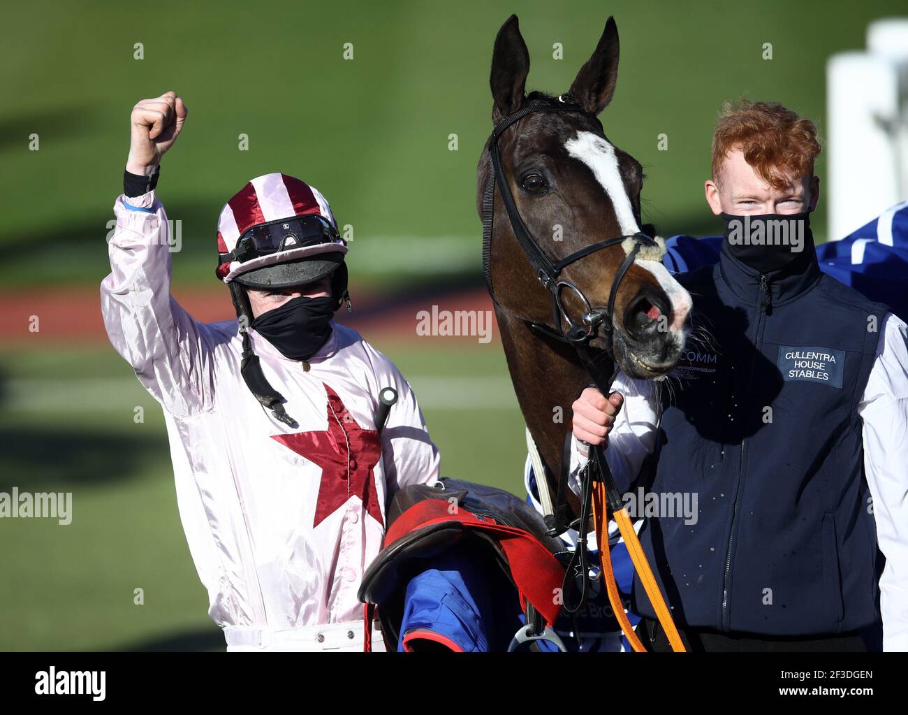 Black tears horse cheltenham hires stock photography and images Alamy