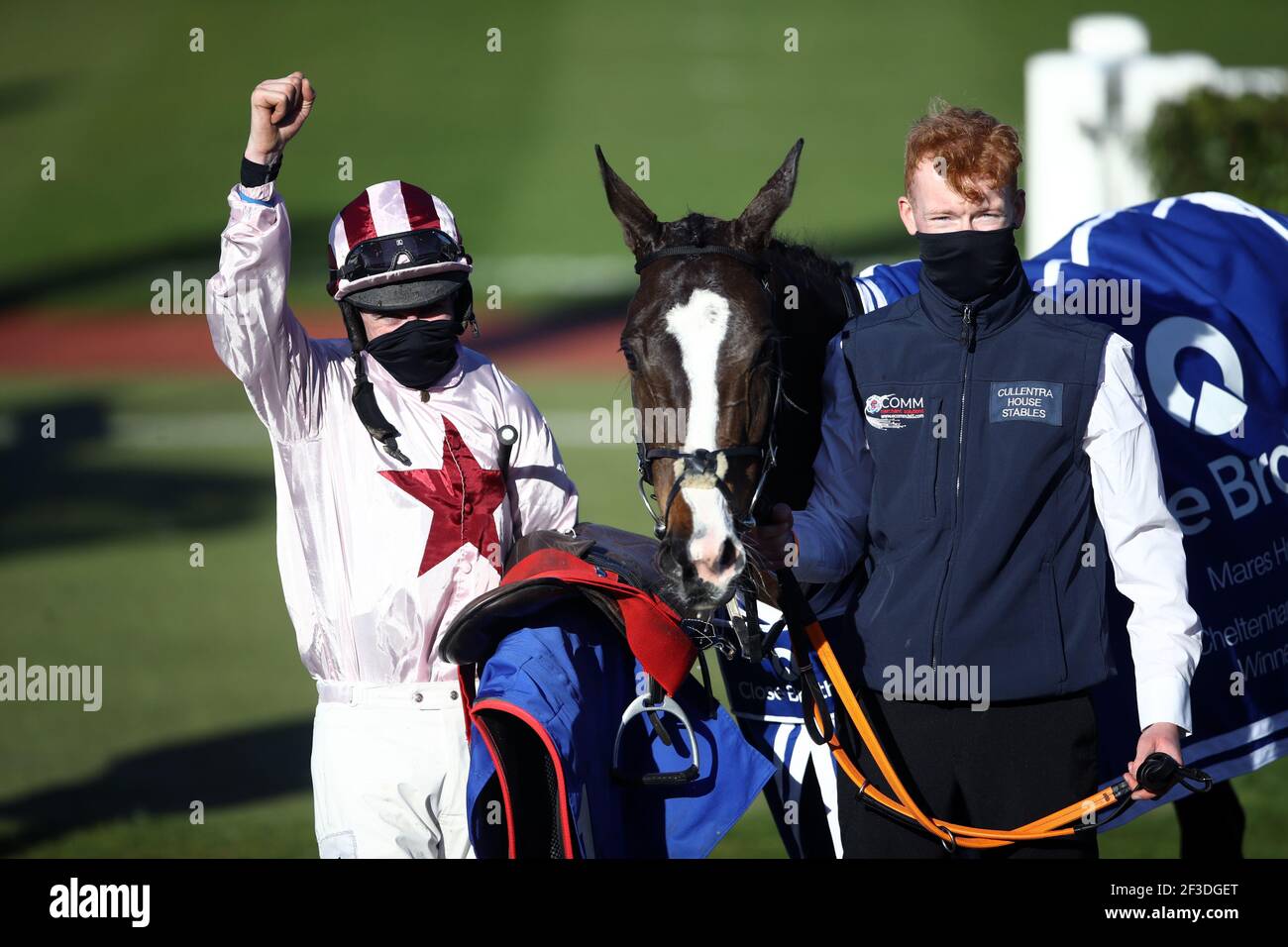 Black tears horse cheltenham hires stock photography and images Alamy
